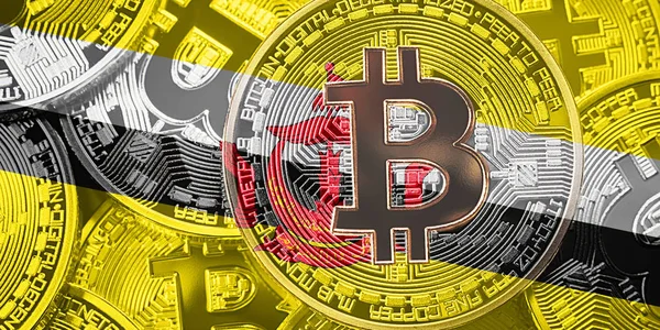 Bitcoin Brunei bayrağı yığını. Bitcoin cryptocurrencies kavramı. BTC arka plan.