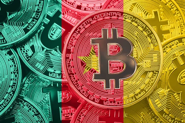 Pila Bitcoin Bandiera Del Camerun Bitcoin Cryptocurrencies Concetto Contesto Btc — Foto Stock