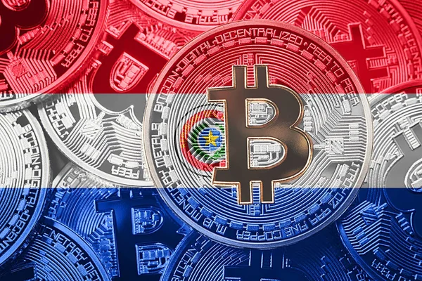 Bitcoin Paraguay bayrağının yığını. Bitcoin cryptocurrencies kavramı. BTC arka plan.