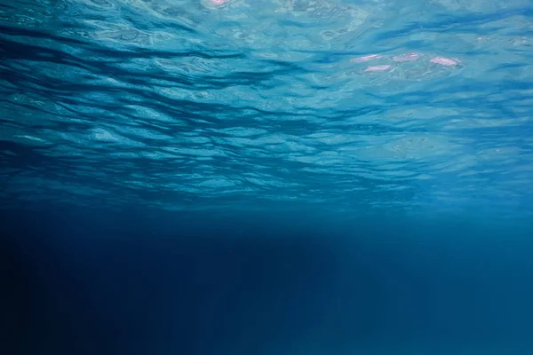 Unterwasserblick Auf Die Meeresoberfläche — Stockfoto