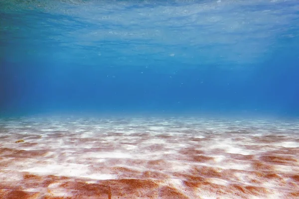 Sandiger Meeresgrund Unterwasserhintergrund — Stockfoto