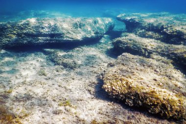 Sualtı Sahnesi Güneş Işığı, Su altı Hayatı.
