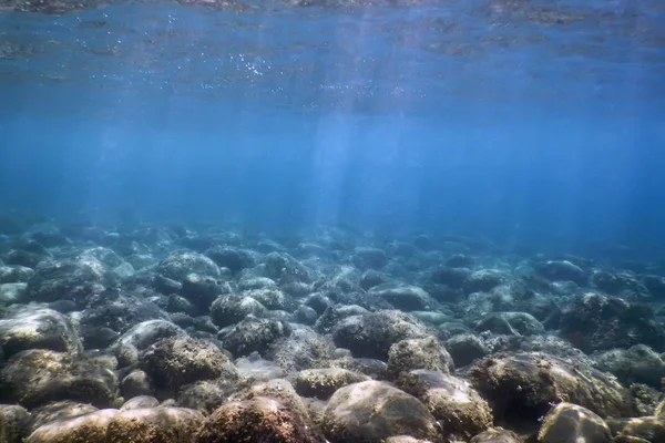 Meeresleben Unterwasser Felsen Sonnenlicht Unterwasser Leben — Stockfoto