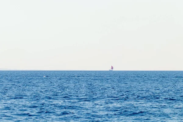 Distant Sail Boat Sea Summer Vacation — Stock Photo, Image