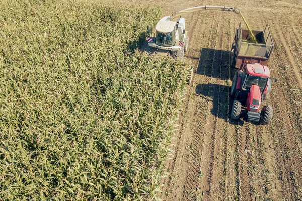 Jordbruk Styckning Ensilage Och Fyllning Släpvagn Fält Antenn View — Stockfoto