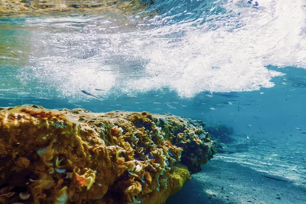 水下场景阳光 鱼水下生活 — 图库照片