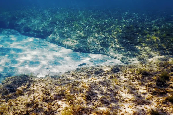 Unterwasserszene Sonnenlicht Fische Unterwasserleben — Stockfoto