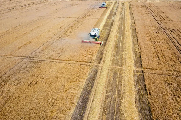 Combine Colheitadeira Trabalhando Campo Trigo Combine Harvester Vista Aérea — Fotografia de Stock