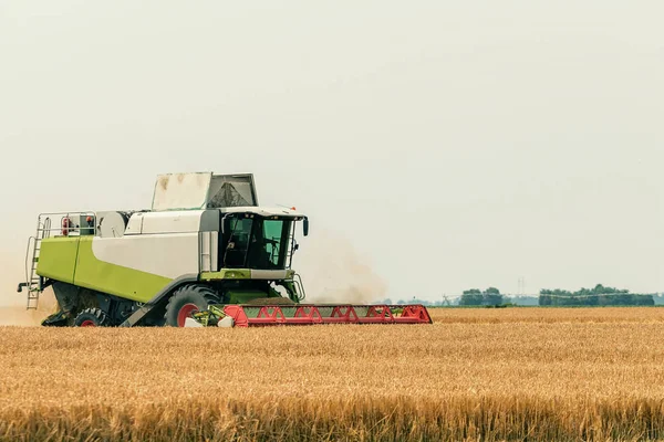 Combine Colheitadeira Trabalhando Campo Trigo Colheita Trigo — Fotografia de Stock