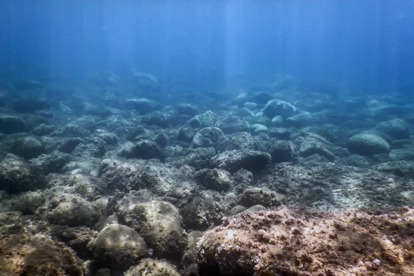 Meeresleben Unterwasser Felsen Sonnenlicht Unterwasser Leben — Stockfoto