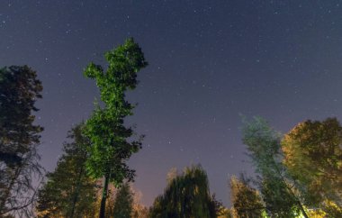 Güzel bir gece gökyüzü, Samanyolu ve ağaçlar, sonbahar edition