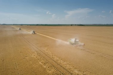 Buğday tarlasında çalışan hasat makinesini birleştirin. Biçici Hava Görünümünü Birleştir. 