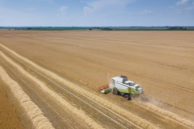 Buğday tarlasında çalışan hasat makinesini birleştirin. Biçici Hava Görünümünü Birleştir. 