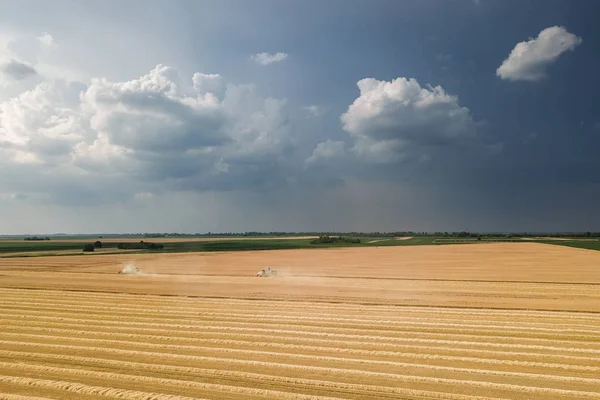 Kombinovat Kombajn Pracující Pšeničném Poli Kombinovat Sklízecí Letoun Letecký Pohled — Stock fotografie