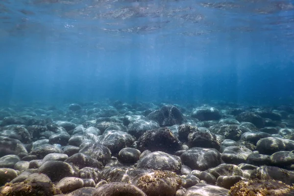 Морське Життя Під Водою Робить Сонячне Світло Підводне Життя — стокове фото