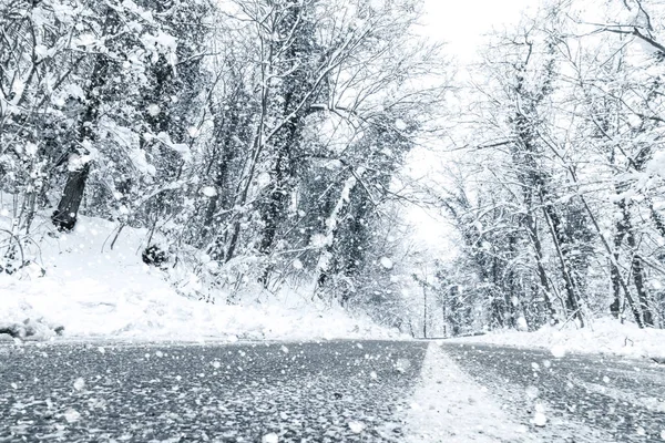 Зимний Лес Снежная Дорога Зимняя Дорога Видом Снег — стоковое фото