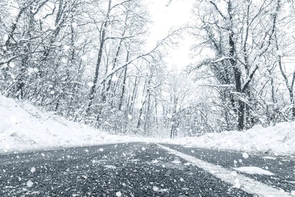 Зимова Лісова Снігова Дорога Лісова Дорога Зимовий Вид Снігу — стокове фото