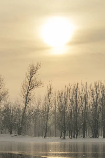 Bevroren Meer Bos Winter Zon Winter Zon Landschap — Stockfoto