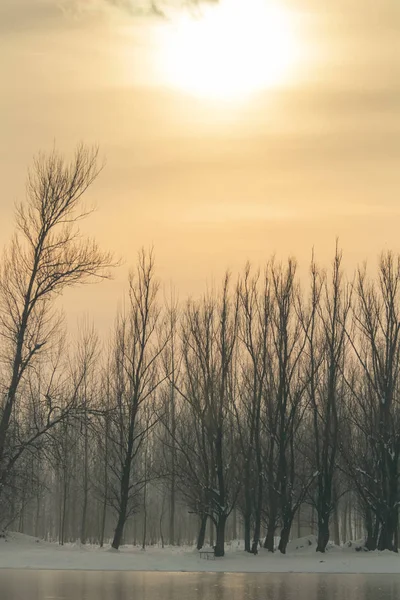 Bevroren Meer Bos Winter Zon Winter Zon Landschap — Stockfoto