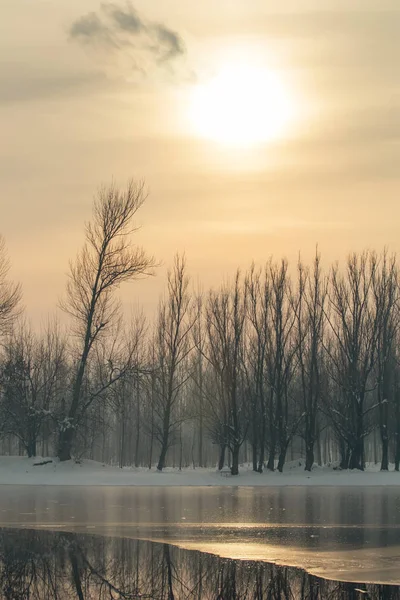 Frozen Lake Forest Winter Sun Winter Sun Landscape — Stock Photo, Image