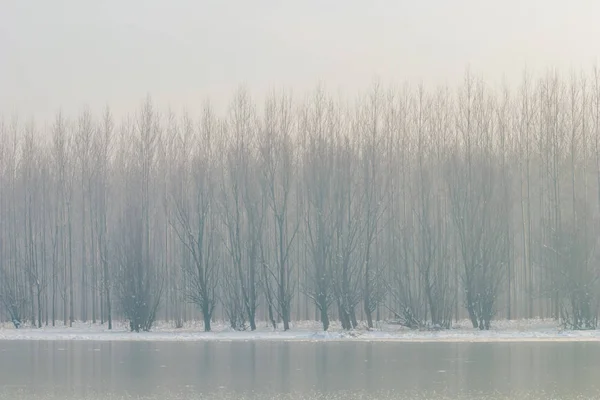 Frozen lake in forest. winter lake under snow