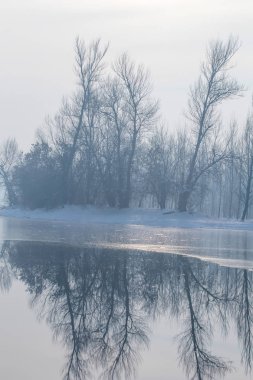 Orman güneş yansıması, kış yansıma manzara donmuş göl