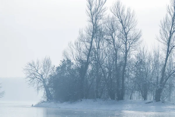 Bevroren Meer Het Bos Wintermeer Onder Sneeuw — Stockfoto