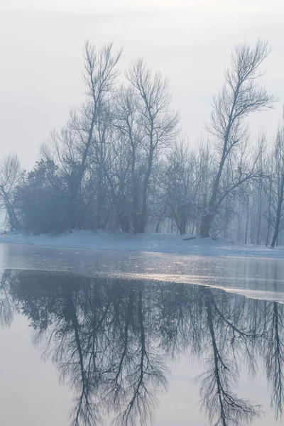 Замерзшее Озеро Лесном Солнечном Отражении Зимний Пейзаж Отражения — стоковое фото