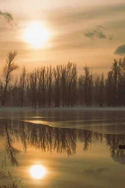 Gefrorener See Wald Sonne Reflexion Winter Reflexion Landschaft — Stockfoto