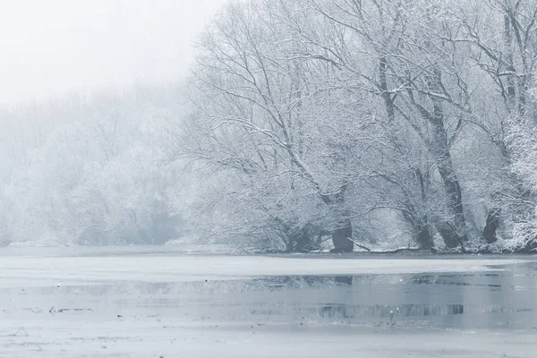 Frozen Lake Winter Winter Lake Scene — Stock Photo, Image