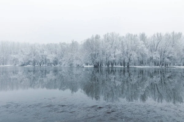 Scène Lac Hiver Reflétant Dans Eau — Photo