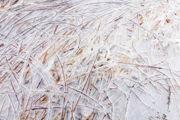 Fruset Gräs Sjö Vinter Mönster Frusen Sjö Yta — Stockfoto