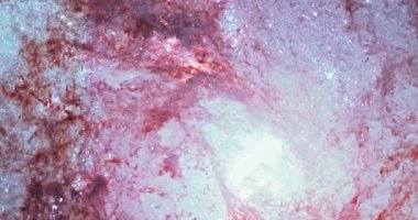 Yer galaksiye, Güneyin Fırıldak Gökadası, M83 Suyılanı takımyıldızı yönünde. Öğeleri Nasa tarafından döşenmiştir.