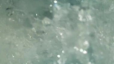 Flushing tuvalet Closeup, ağır çekim 