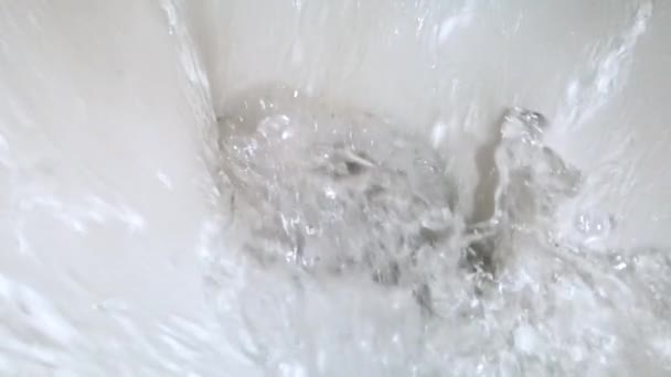 Flushing Toalett Närbild Slow Motion — Stockvideo