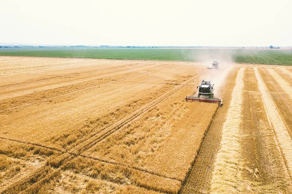 Kombajn zbożowy pracę na polu pszenicy. Kombajn zbożowy Ae — Zdjęcie stockowe