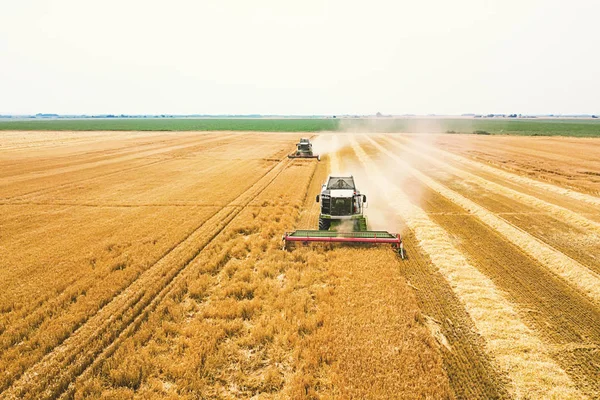 밀밭에 수확기를 결합 한다. 결합 수확기 Ae — 스톡 사진