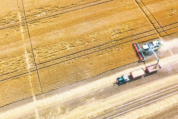 Combiner moissonneuse-batteuse travaillant sur un champ de blé. Combiner la moissonneuse Ae — Photo