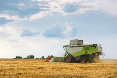 Buğday tarlasında çalışan hasat makinesini birleştirin. Buğday hasat ediyorum..