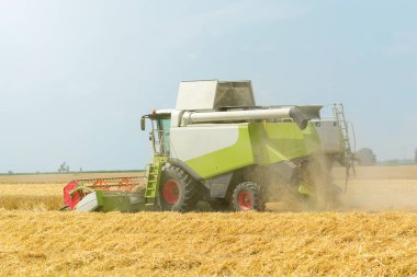 Buğday tarlasını birleştirmek. Sahada çalışmayı birleştir.