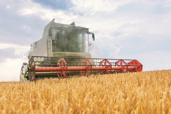 Комбайн працює на пшеничному полі. Збирання пшениці . — стокове фото