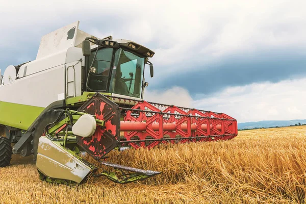 Closeup Combine memanen ladang gandum. Gabungan bekerja fi — Stok Foto