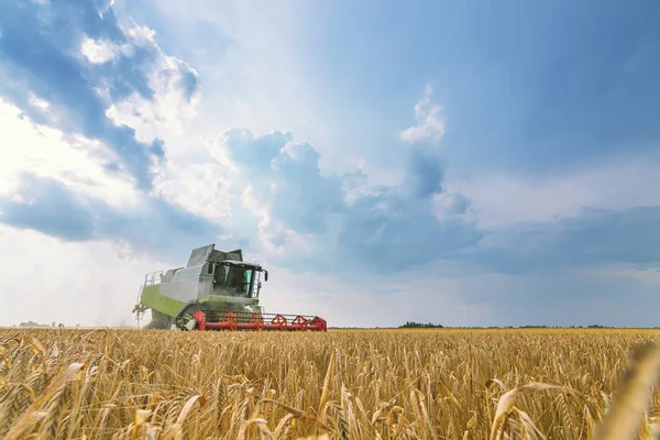 Buğday tarlasını birleştirmek. Sahada çalışmayı birleştir.
