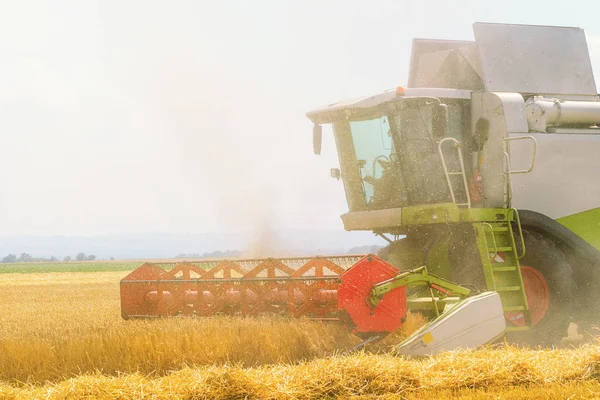 Bir buğday alan hasat Closeup birleştirin. Fi çalışma birleştirmek