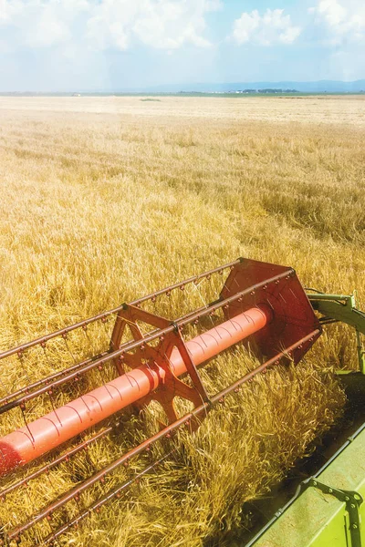 Gabungan memanen ladang gandum.. — Stok Foto