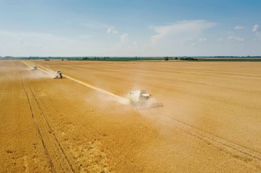 Bir buğday alanında çalışan hasat birleştirin. Hasat Ae birleştirmek
