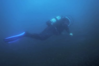 Scuba Dalgıç Yüzme Sualtı Resif Araştırıyor ve Seabe İnceler