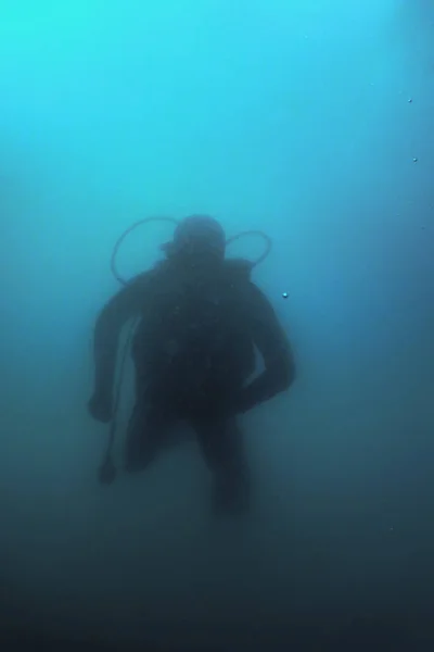 Подводный дайвер, плавающий под водой, исследует риф и изучает морское дно — стоковое фото