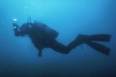 Scuba Dalgıç Yüzme Sualtı Resif Araştırıyor ve Seabe İnceler