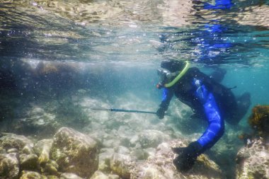 Sığ Deniz Suyunda Spearfishing Diver Yüzme